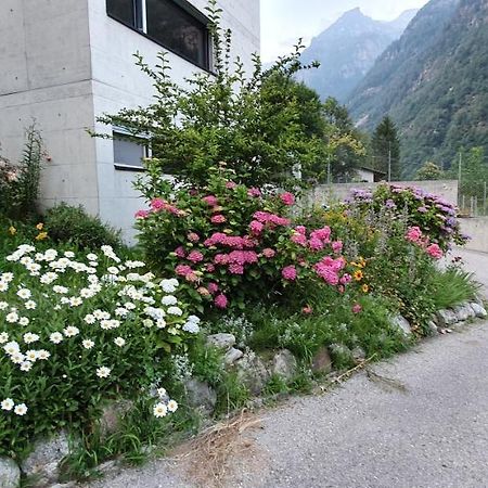 Casa 21 Apartment Sonogno Luaran gambar