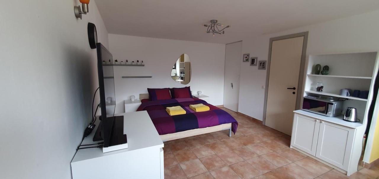 Casa 21 Apartment Sonogno Luaran gambar